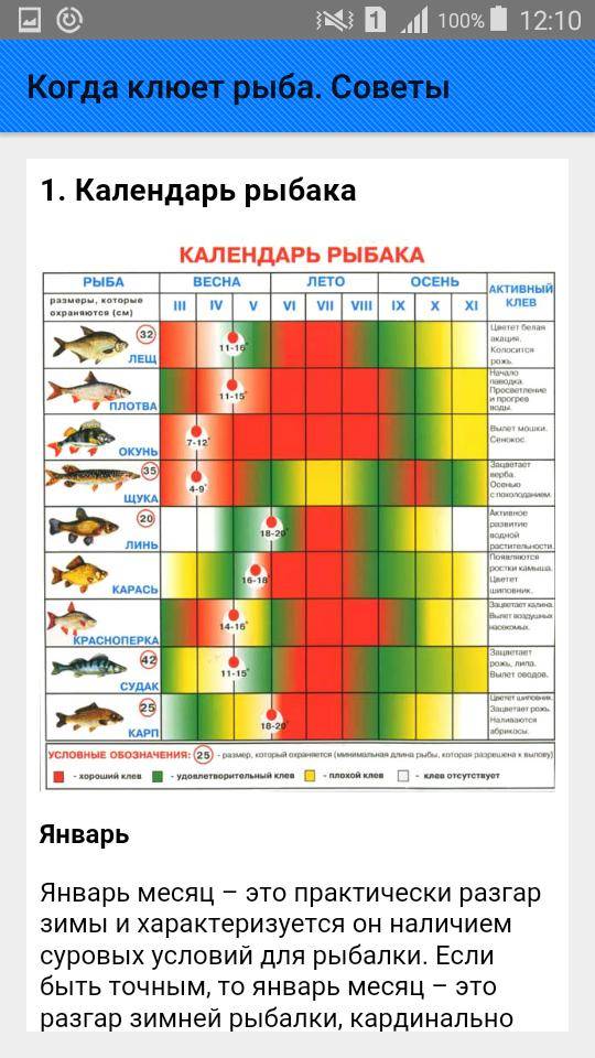 Календарь клева рыбы: где клюет рыба? когда клюет рыба? клевая статья!