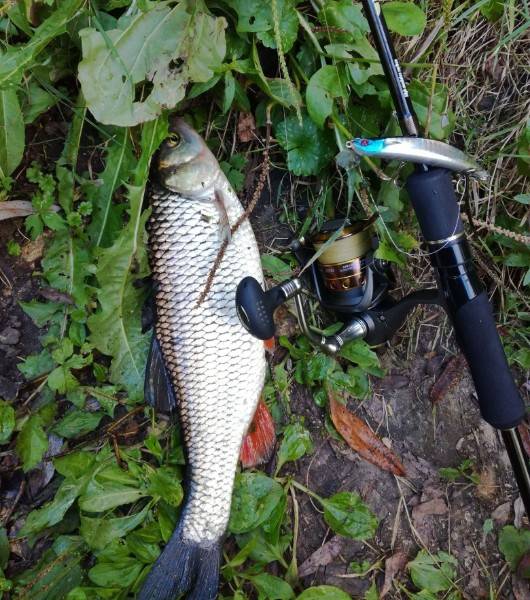 Рыбалка в орловской области и орле: платная и бесплатная ловля рыбы
