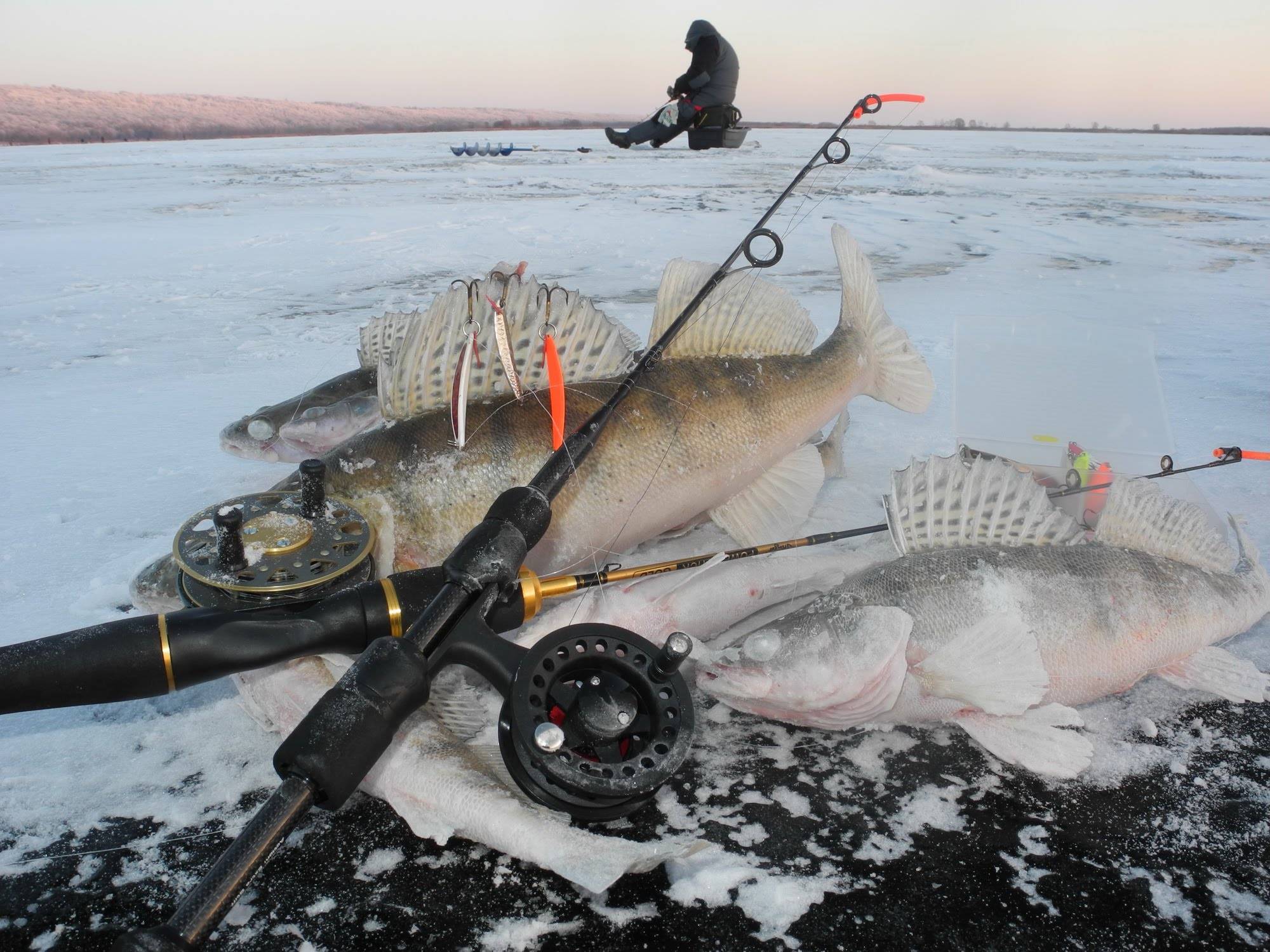 Рыбалка в декабре на открытой воде: снасти, прикормка и наживка