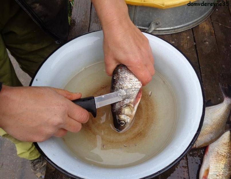 Как почистить рыбу от чешуи быстро и без хлопот