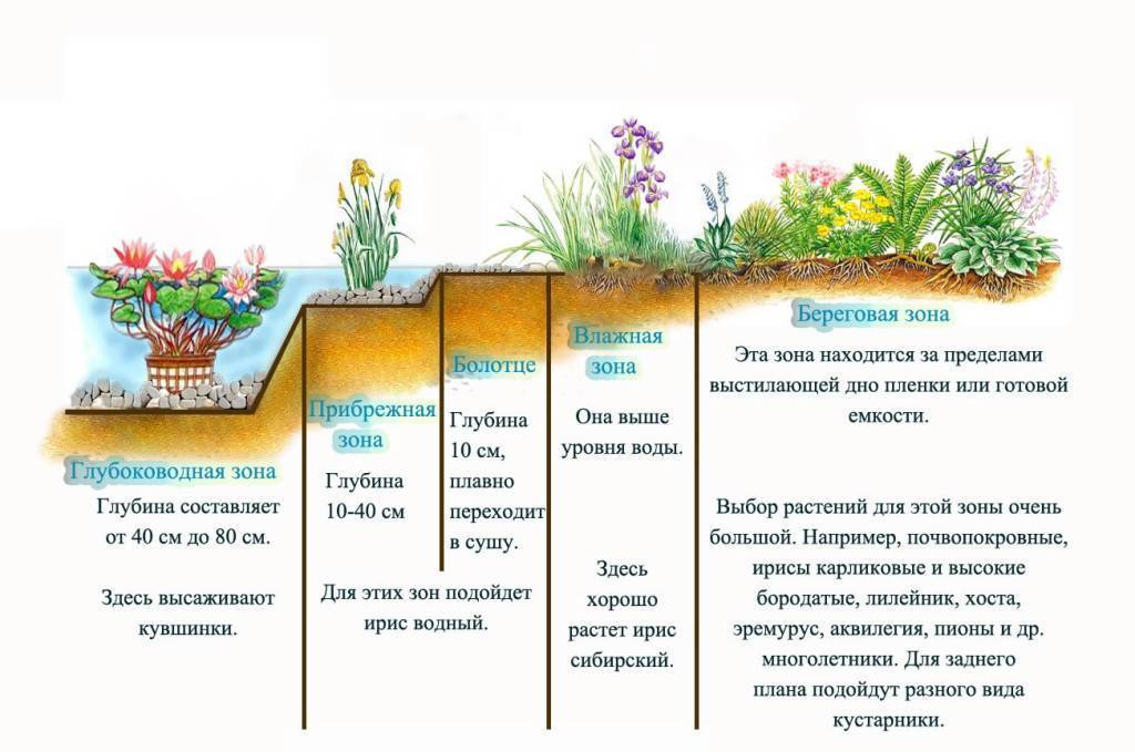Как определить глубину водоема – подробное руководство