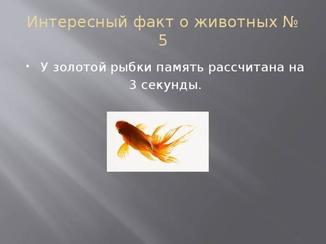 ✅ память у рыбы сколько - fish-hunt.net.ru