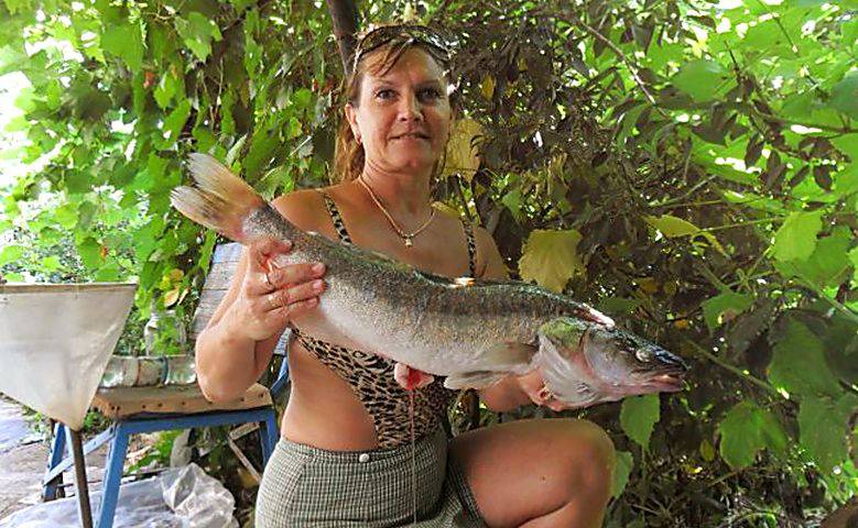 Особенности рыбалки на реке дон: как выбрать снасти и какую рыбу можно поймать?