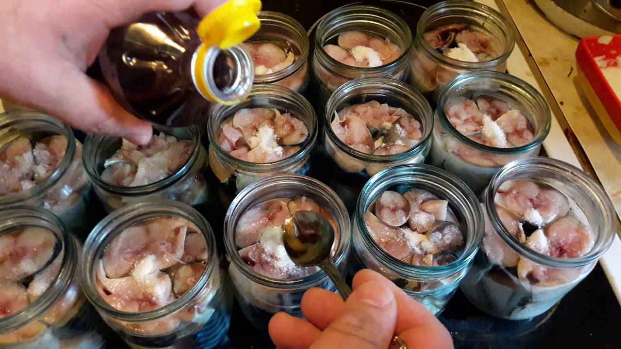 Домашние рыбные консервы: как вкусно приготовить