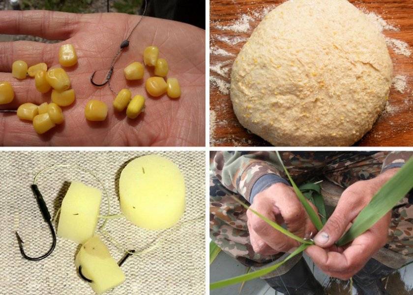 Рецепты бойлов для ловли сазана и карпа своими руками: выбор ингредиентов и рекомендации