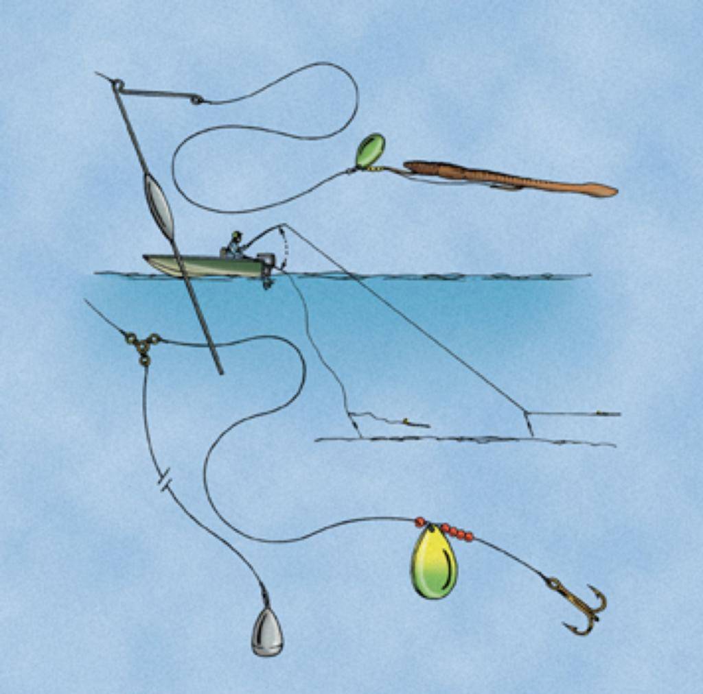 Ловля судака: способы, наживки, сезонные особенности