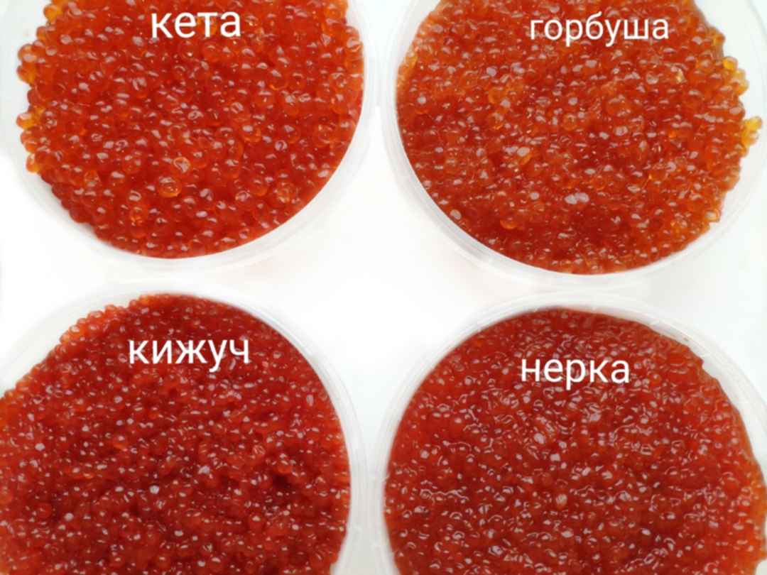 Кижуча солить, нерку коптить. как готовить российскую красную рыбу | продукты и напитки | кухня