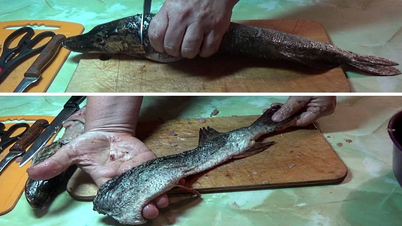 Рецепт фаршированной щуки из нежного рыбного филе
