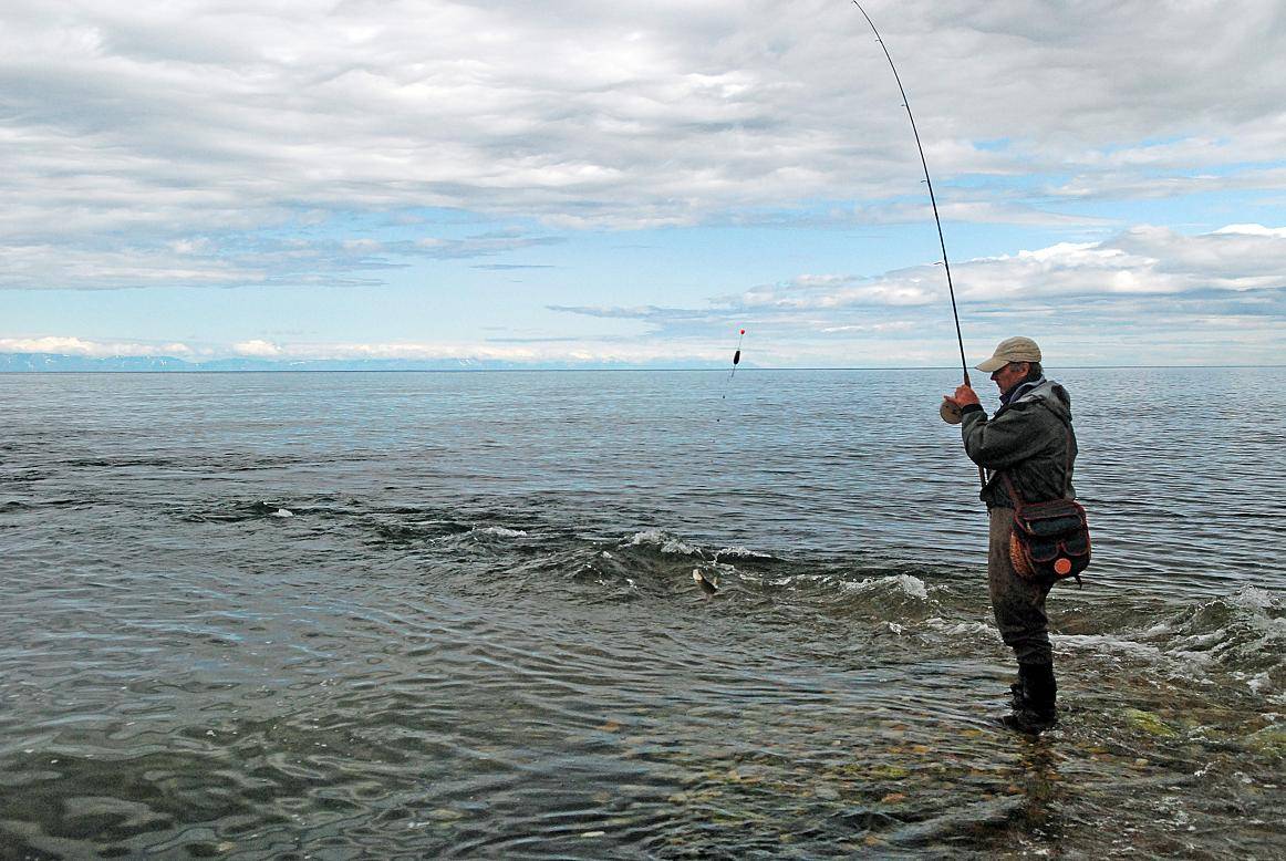 Рыбалка на байкале — ловля летом на удочку, какая балтийская рыба водится в озере