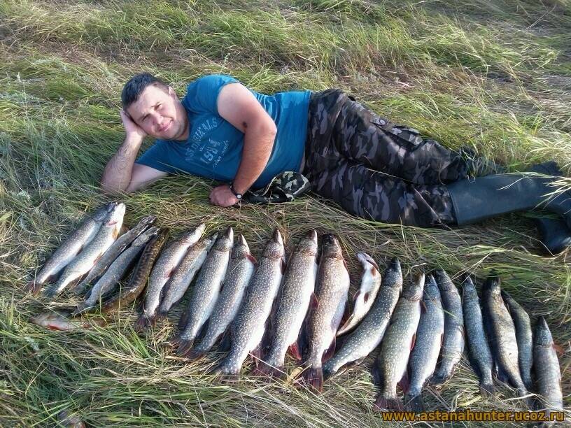 ᐉ ишим - место для рыбака - ✅ ribalka-snasti.ru