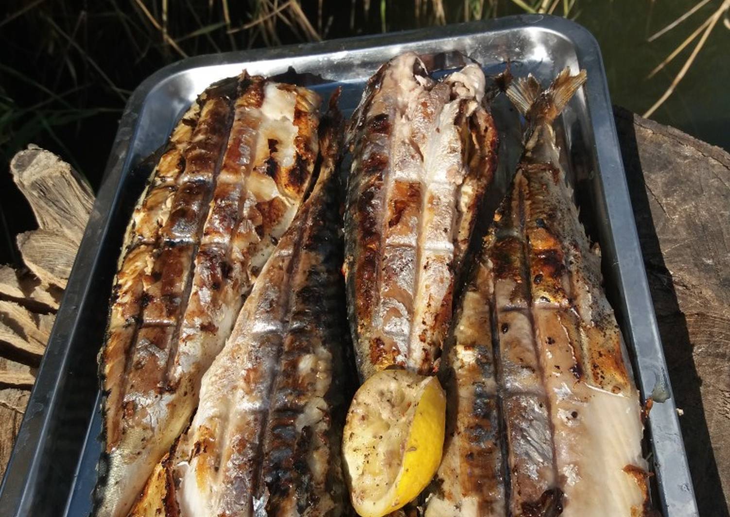 Рыба на костре: рецепт приготовления. рыба в фольге на костре