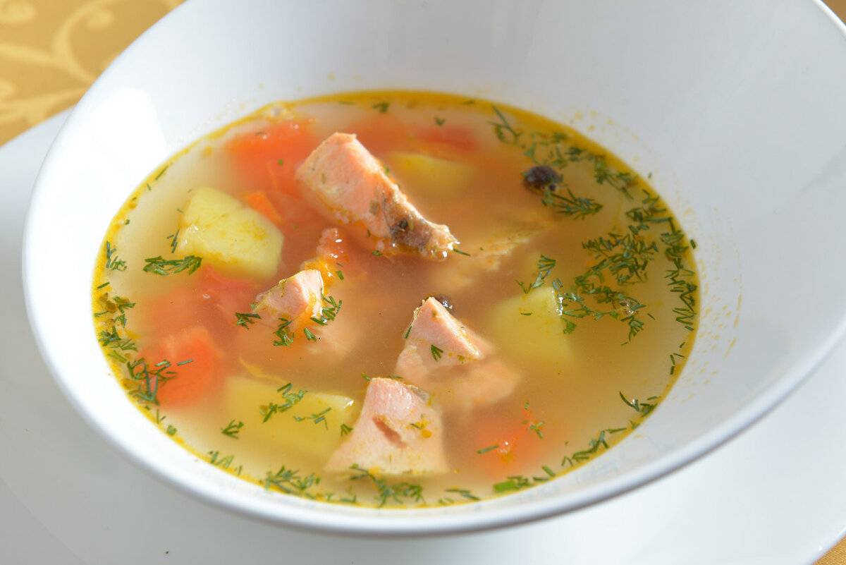 Суп из семги - проверенные рецепты. как правильно и вкусно приготовить суп из семги. - автор екатерина данилова - журнал женское мнение