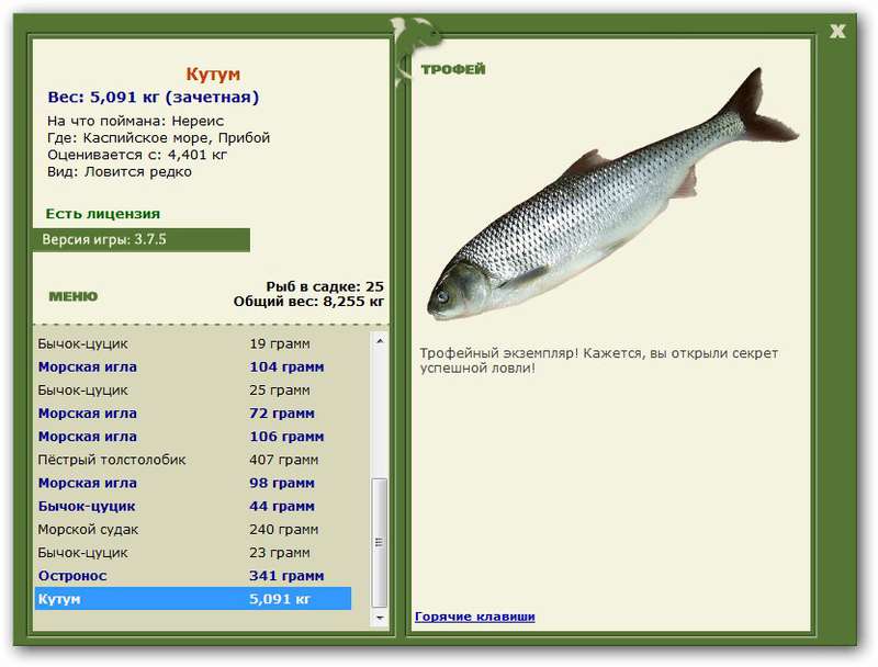 Рыба вырезуб: описание, где водится, рыбалка на вырезуба – рыбалке.нет