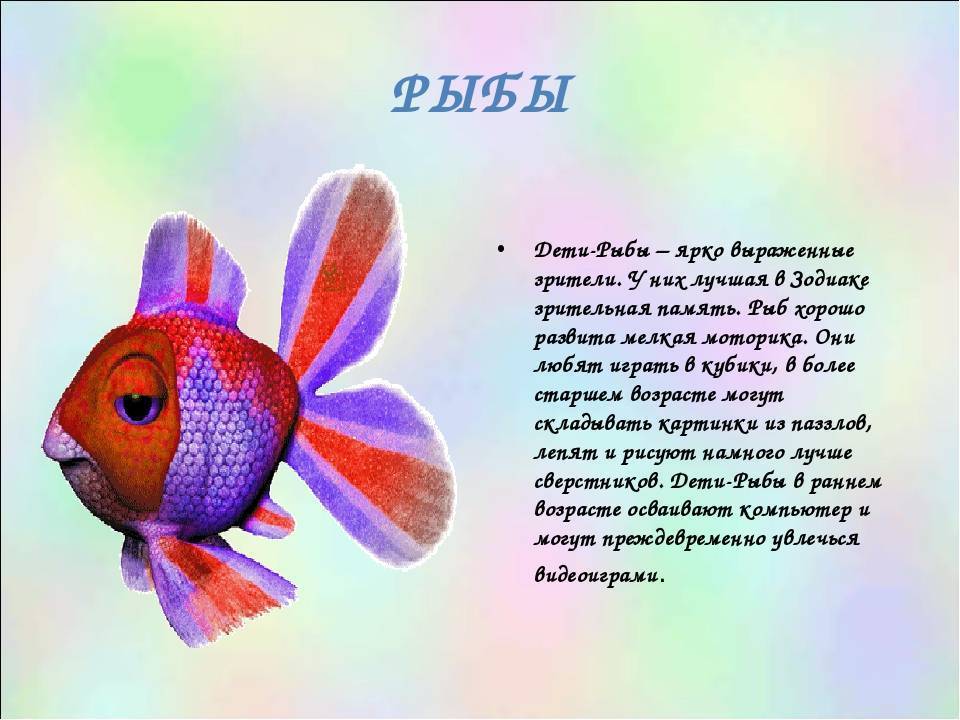 ✅ рыбок память 3 секунды. какая память у рыбки. как работает память рыб - ledi-i-sport.ru