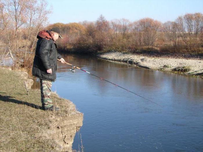 Платная рыбалка в пензенской области: рыболовные туры, охотничьи базы и водоемы пензенской области