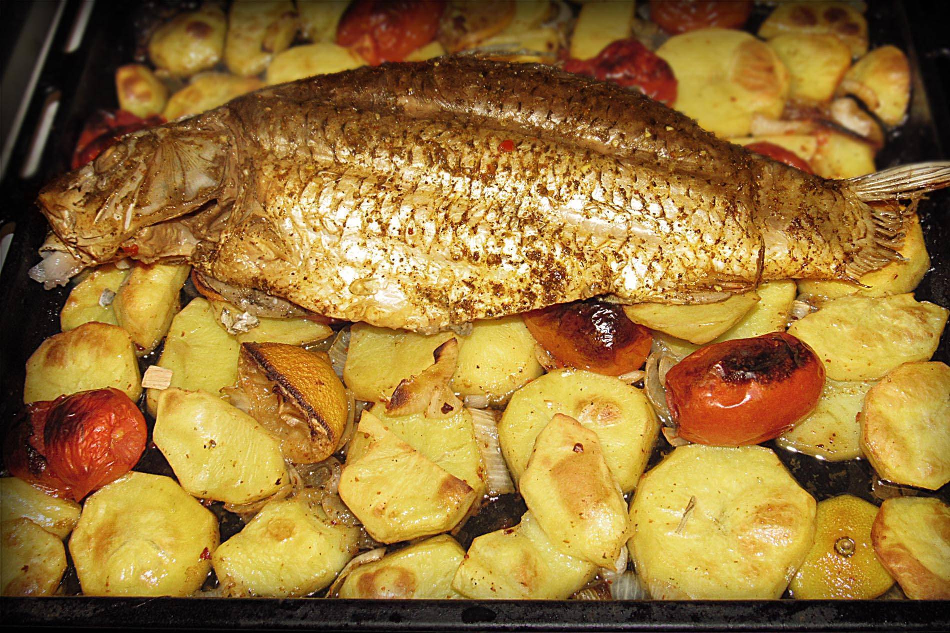 Рыба сазан: 6 вкусных рецептов приготовления, как запечь в духовке или пожарить на сковороде