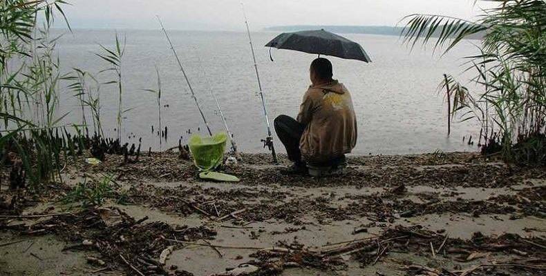 ✅ рыбалка после сильных дождей - http://xn----7sbabaer7cip9a4a8c4czc.xn--p1ai/