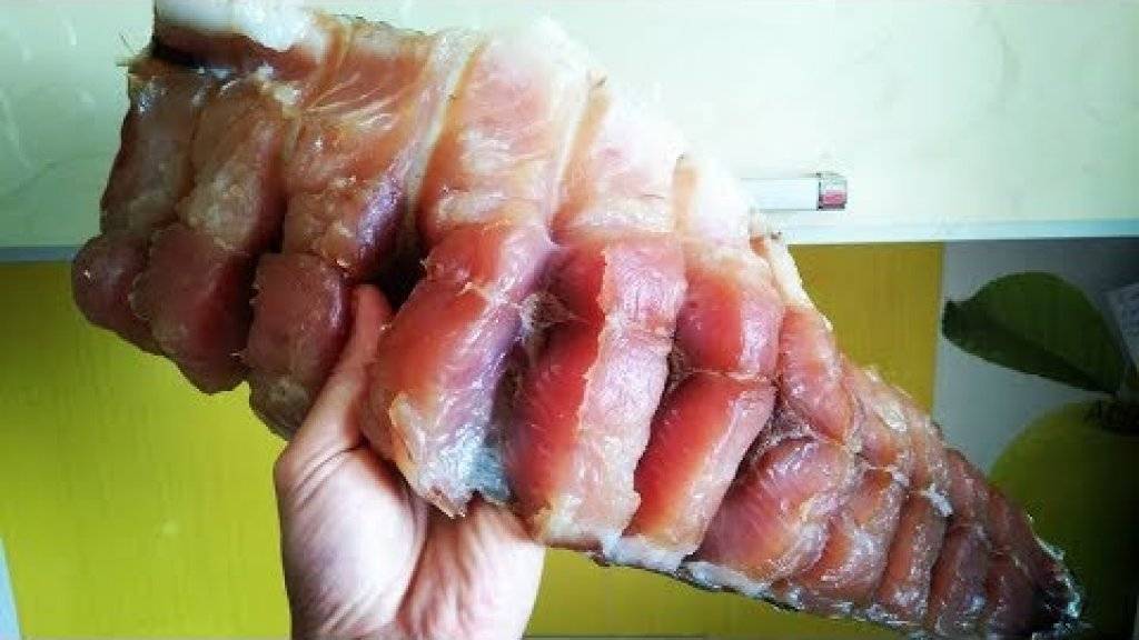 Как хранить балык из рыбы и мяса в домашних условиях