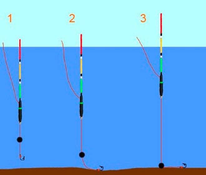 Виды поплавочных удочек для летней рыбалки, их плюсы и минусы
