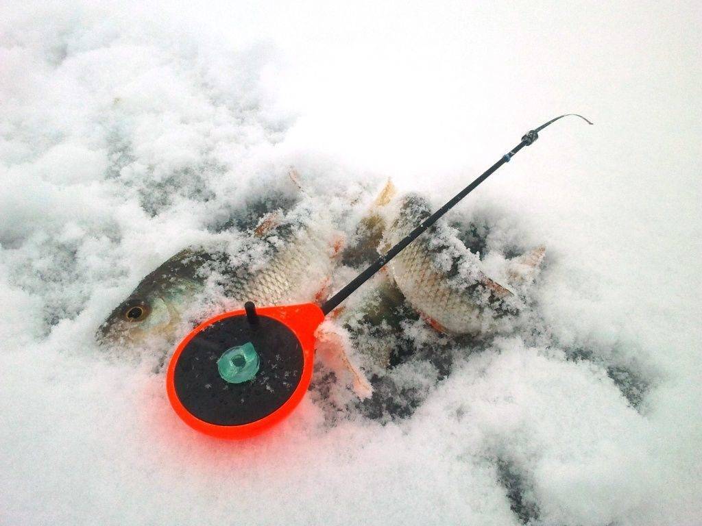 Топ-10 лучших мормышек для ловли леща зимой