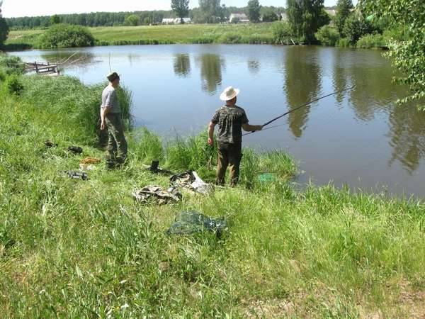 Рыболовный клуб севрюга в чехове