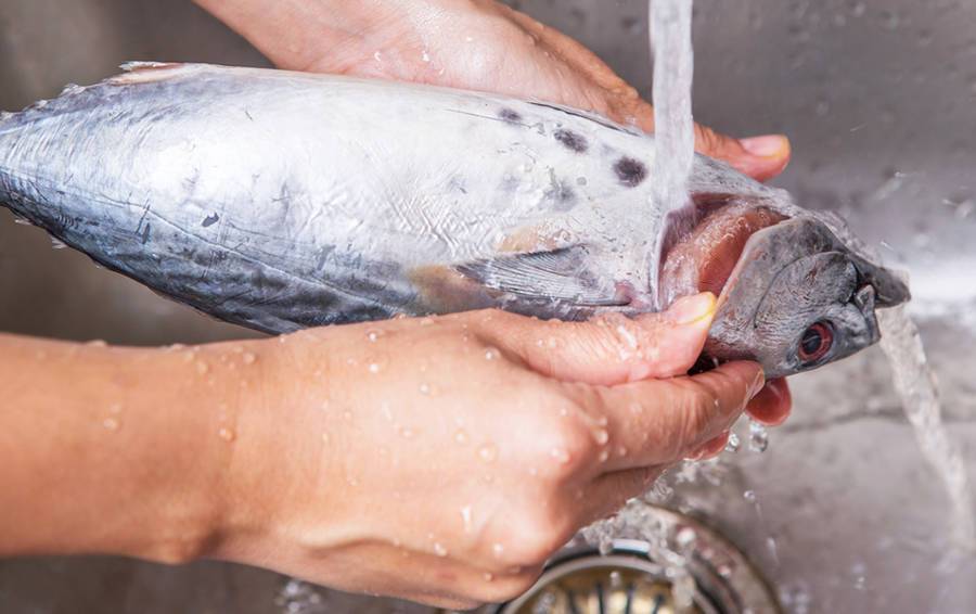 Как разморозить рыбу: 12 практических советов без потери качества вкуса