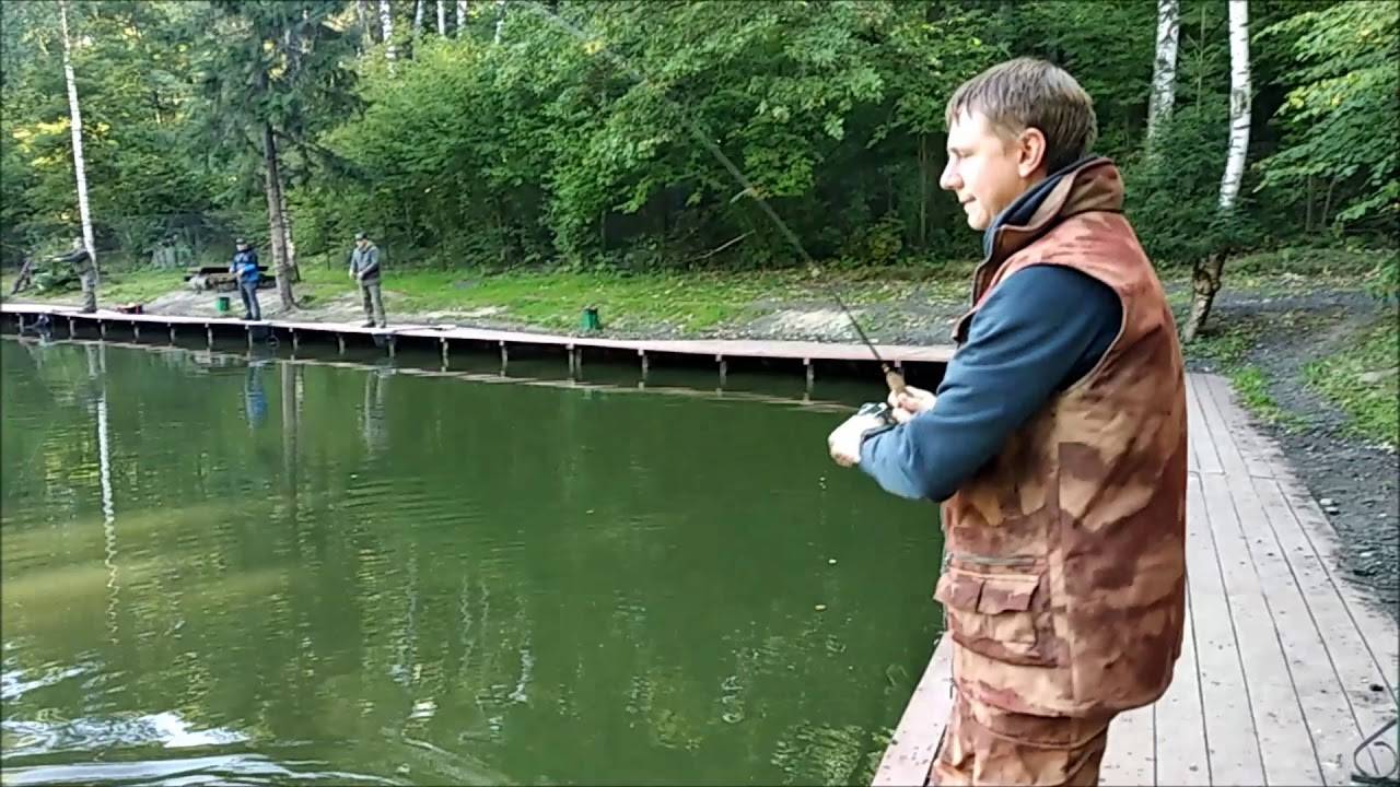 Рыбное хозяйство "клёвое место" в посёлке лосиный остров - отзывы и видеообзор