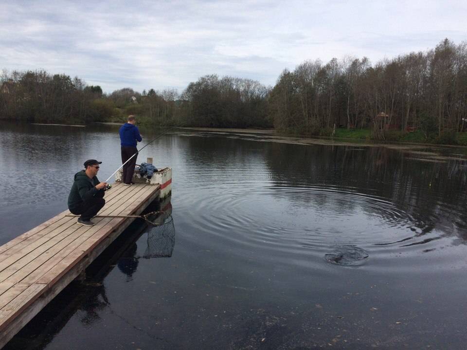 Озеро зеркальное ленинградская область база отдыха, как доехать, рыбалка, на карте, видео, фото