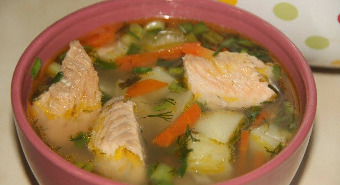 Уха из горбуши: как приготовить дома, калорийность и полезные свойства, рецепты супа из рыбьей головы и хвоста
