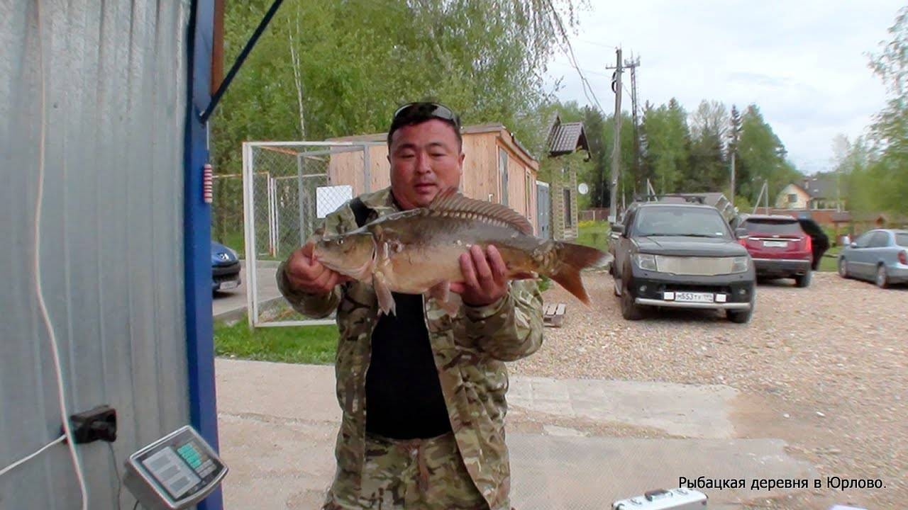 Рыбалка на соколовском водохранилище