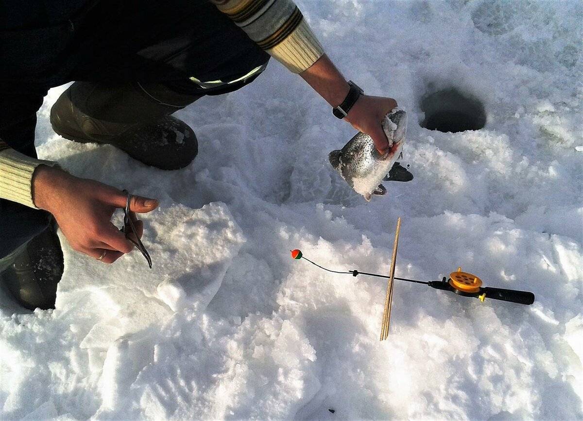 Снасти для зимней рыбалки: зимние удочки, леска, приманка