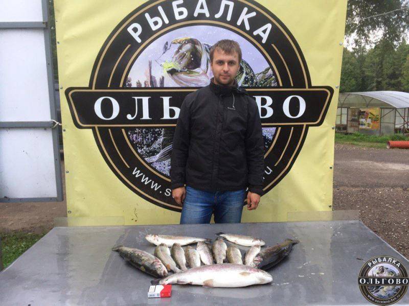 ✅ прогноз клева дмитров - danafish.ru