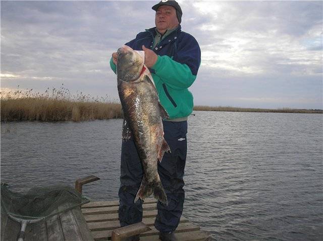 Рыбалка в ростовской области