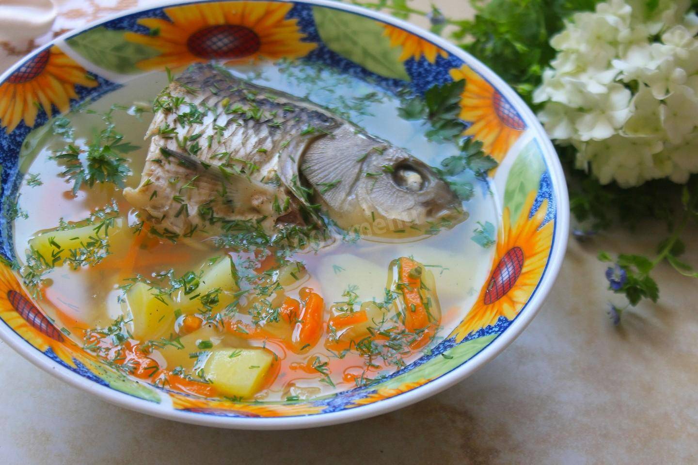 Уха из карася: 2 пошаговых рецепта для приготовления в домашних условиях супа из речной рыбы и ее голов и хвостов по классическому варианту приготовления