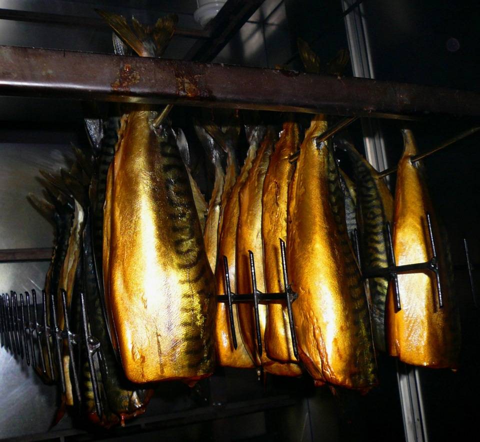 Как делают рыбу холодного копчения: подготовка рыбы, технология копчения - handskill.ru