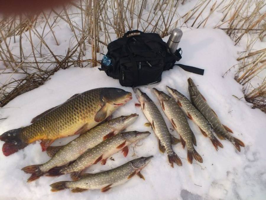 Руководство по зимней рыбалке для начинающих