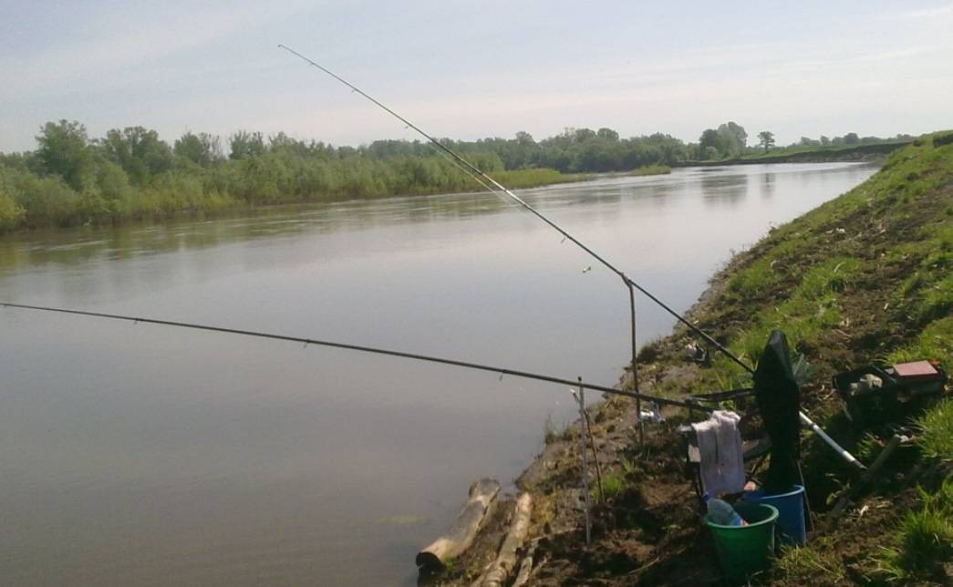 Правила рыбалки в республике башкортостан (2022 г.)