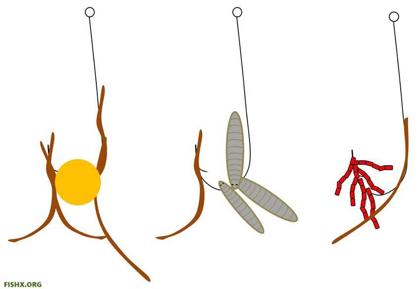 Мотыль для рыбалки с мормышкой: как правильно насаживать личинок на крючок, полезные рекомендации