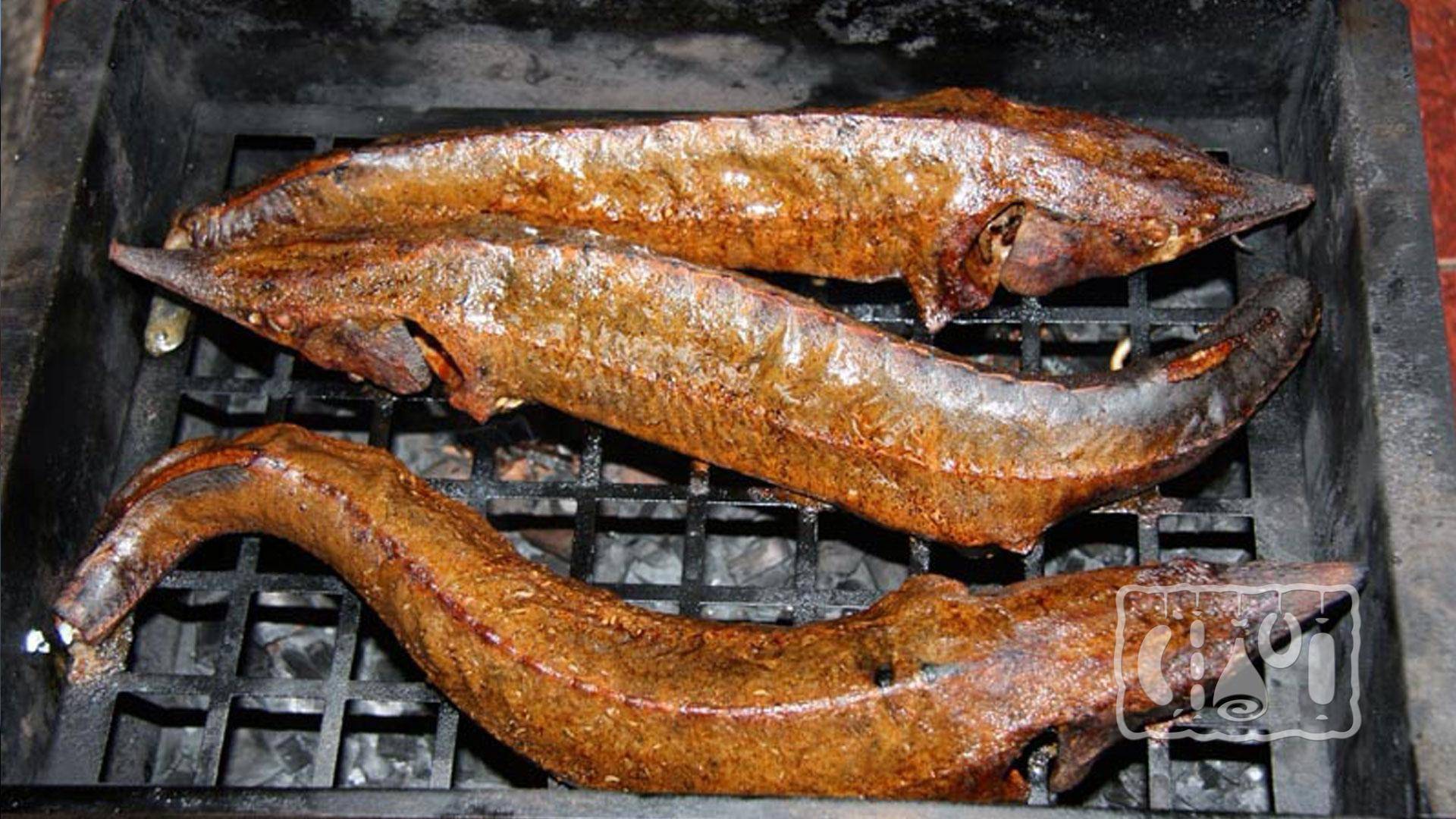 Как закоптить рыбу в коптильне горячего копчения - рецепты приготовления в домашних условиях