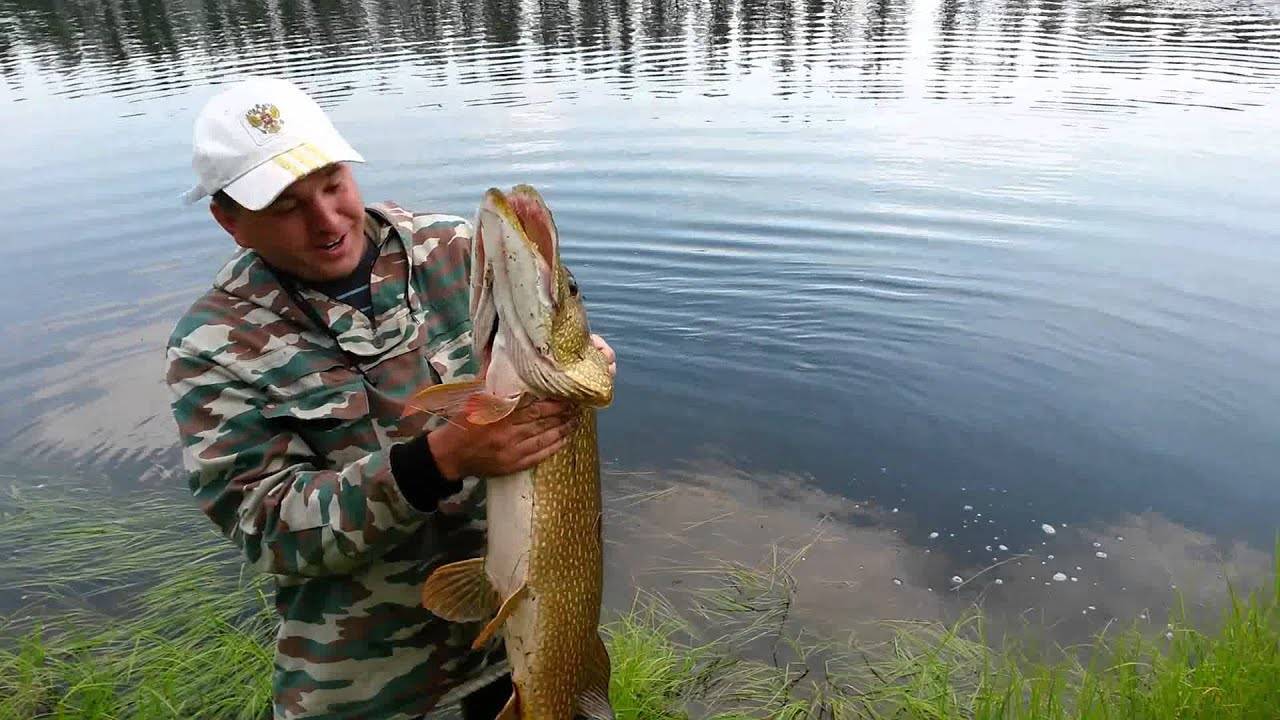 Правила рыбалки в забайкальском крае в 2022 г.