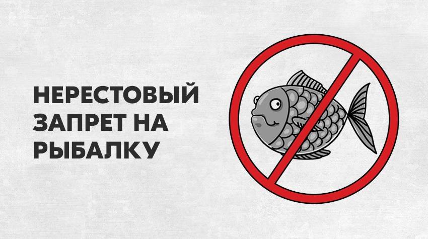 Когда снимается запрет на рыбалку? - суперулов - интернет-портал о рыбалке