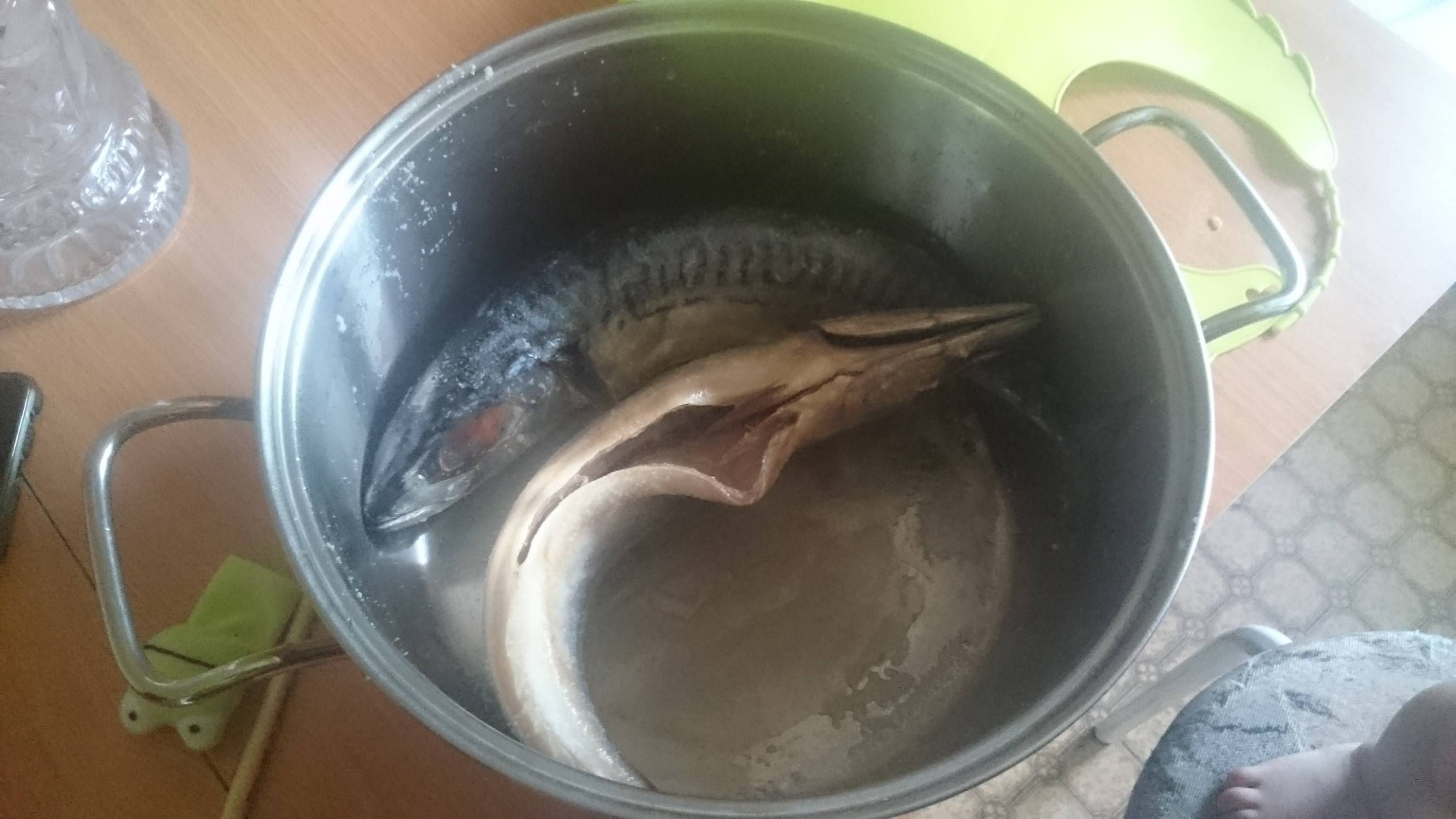 Разнообразный тузлук для засолки рыбы скумбрии в домашних условиях