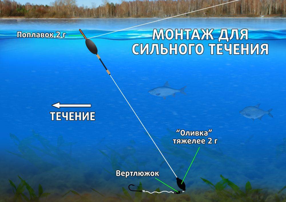 Рассказываю, как правильно выбрать уловистое место для рыбалки - рыболову на заметку на tatfisher.ru