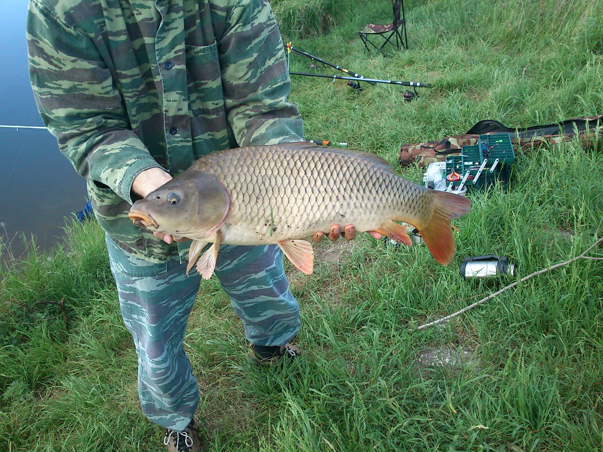 Рыбалка в белгородской области - читайте на сatcher.fish