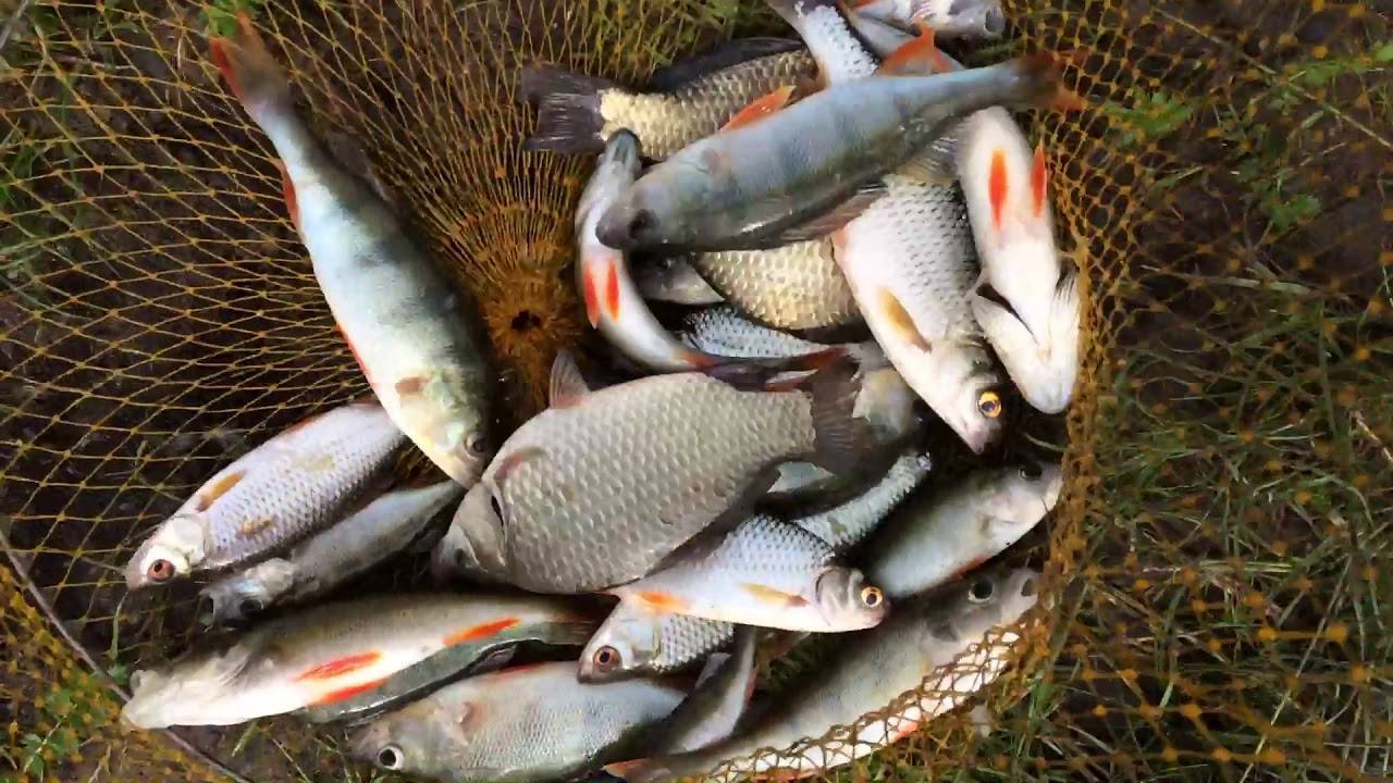 Места для рыбалки в республике башкортостан – платная и бесплатная рыбалка!