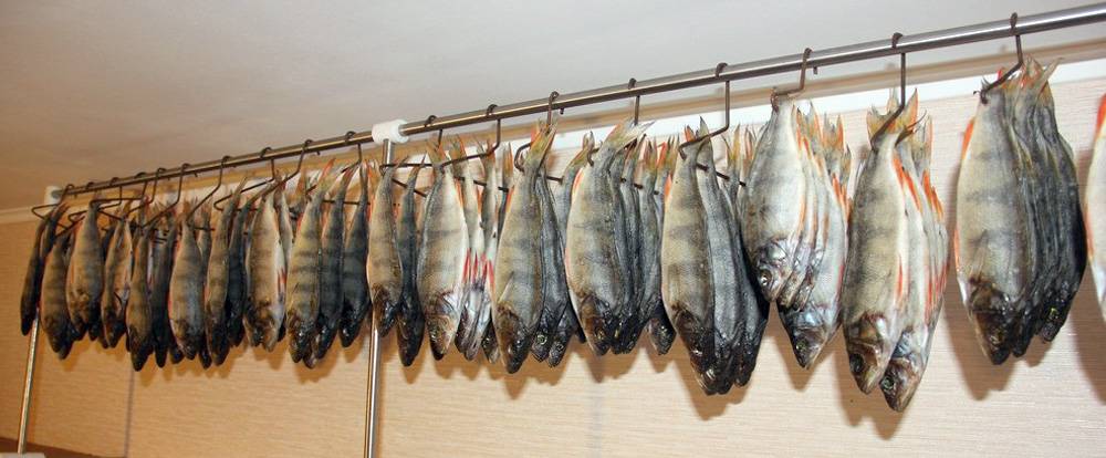 Как вялить рыбу в домашних условиях