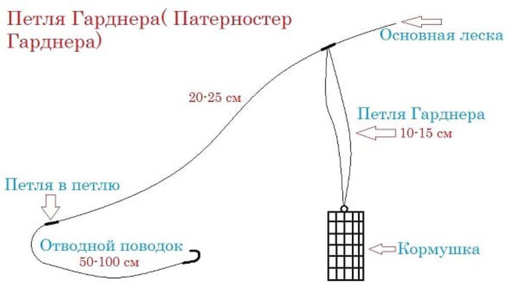 Схема петля гарднера