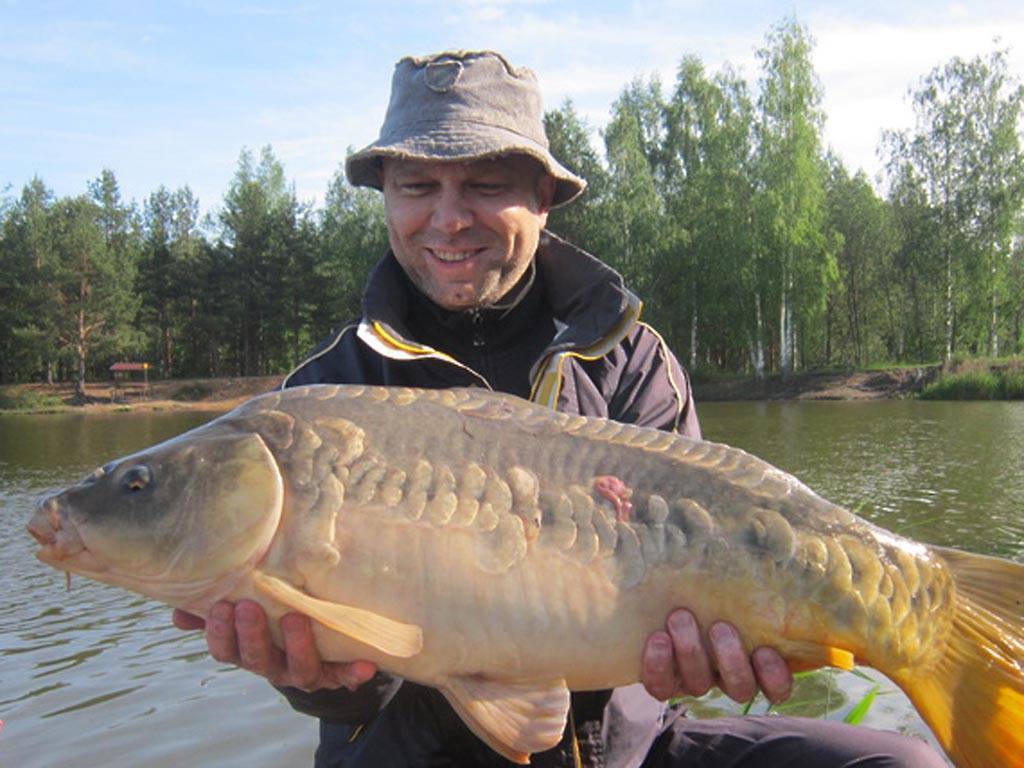 ✅ рыбалка в клину бесплатно - danafish.ru