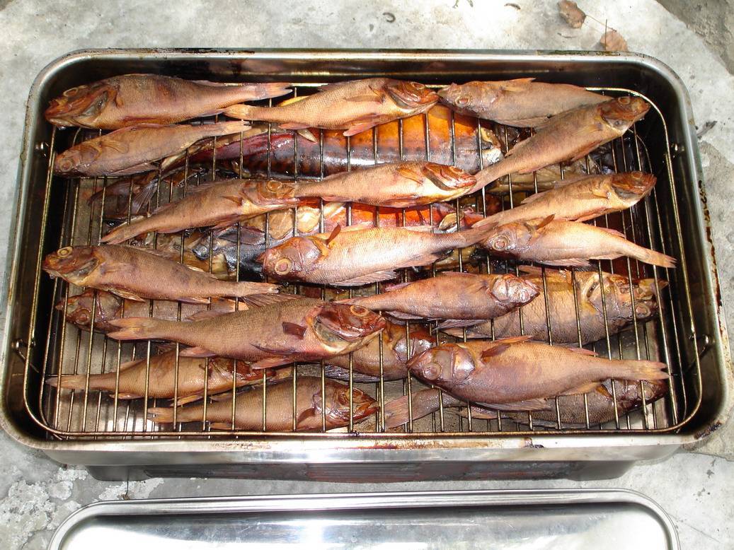 Горячее копчение рыбы в домашних условиях