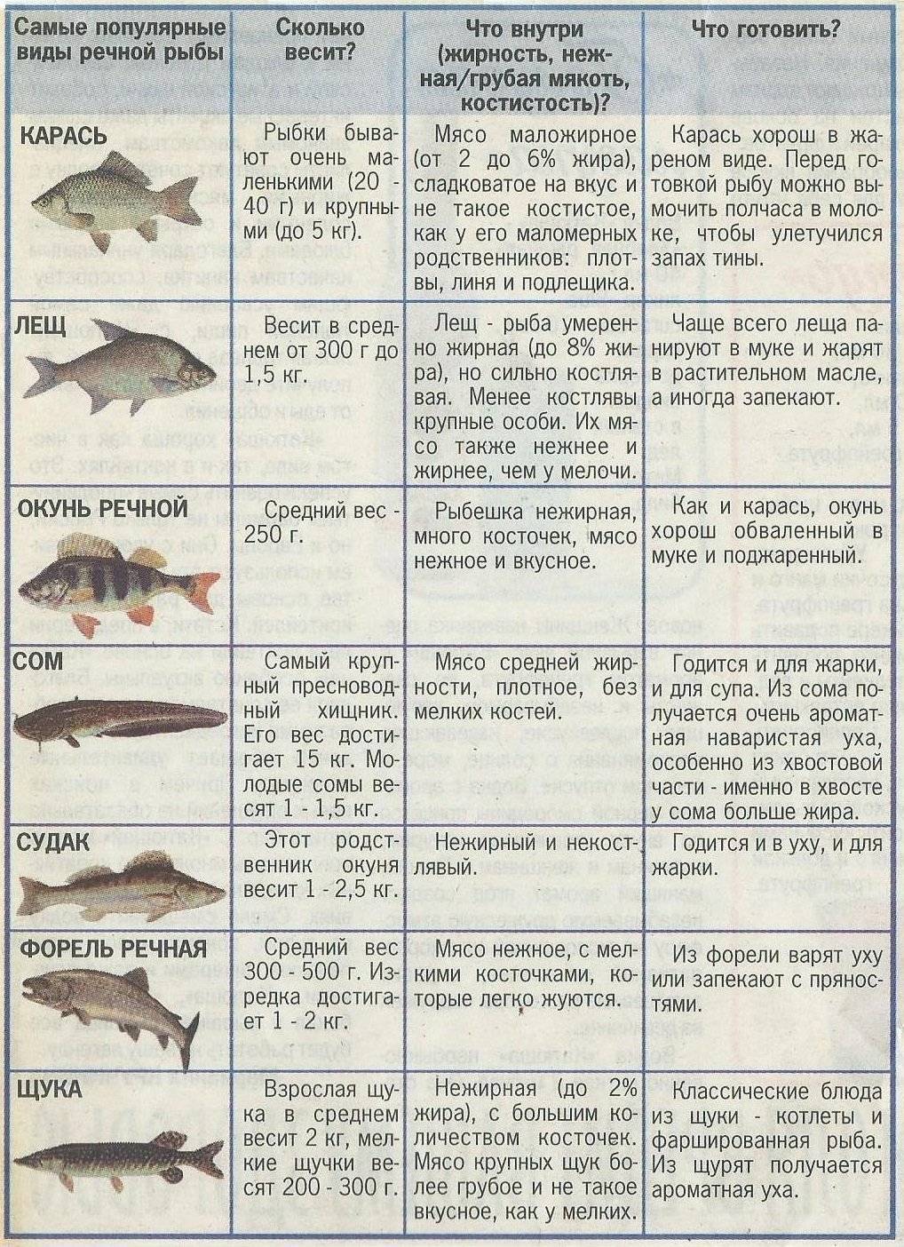 Низкокалорийная рыба список. список нежирных сортов рыбы для диеты и похудения